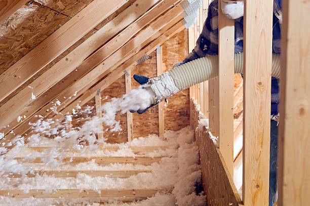 Best Eco-Friendly or Green Insulation Solutions  in USA